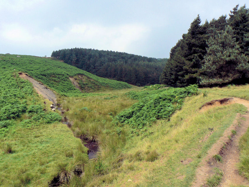 Burbage Brook Burbage Brook